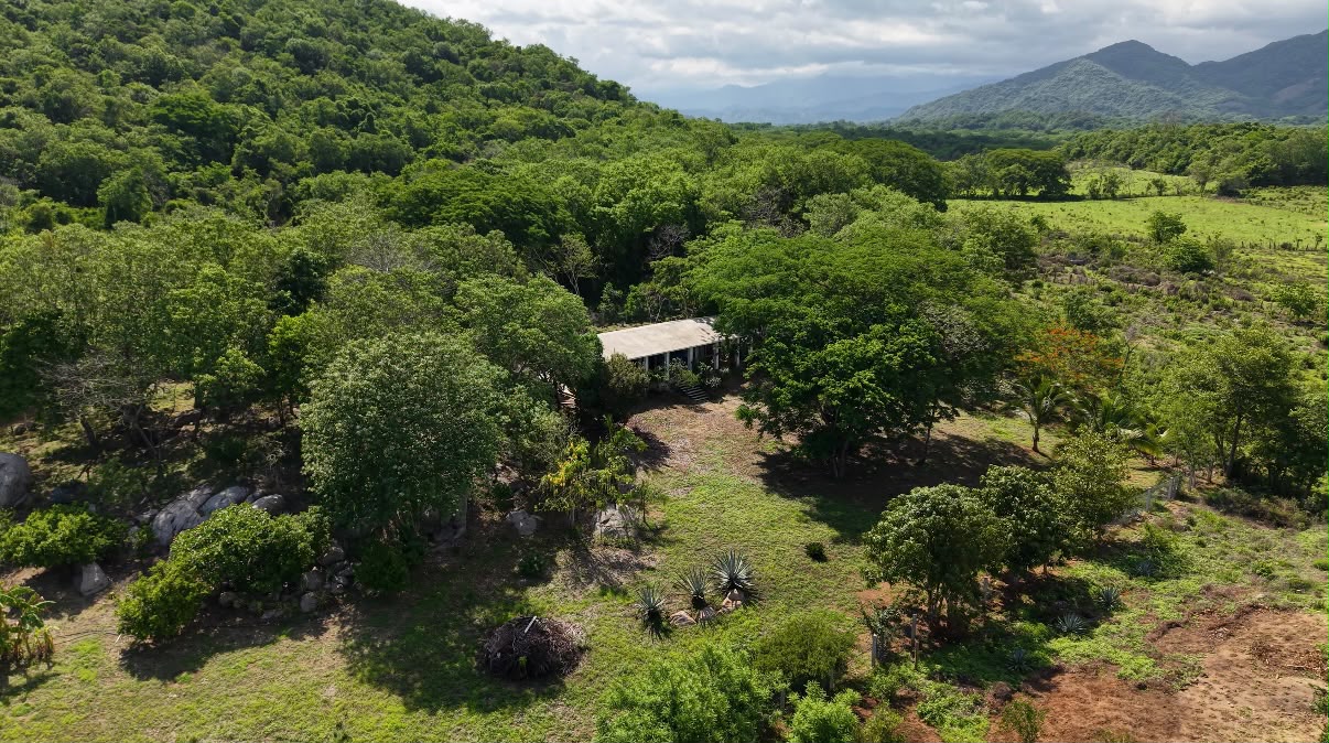 Casa Cocodrilos