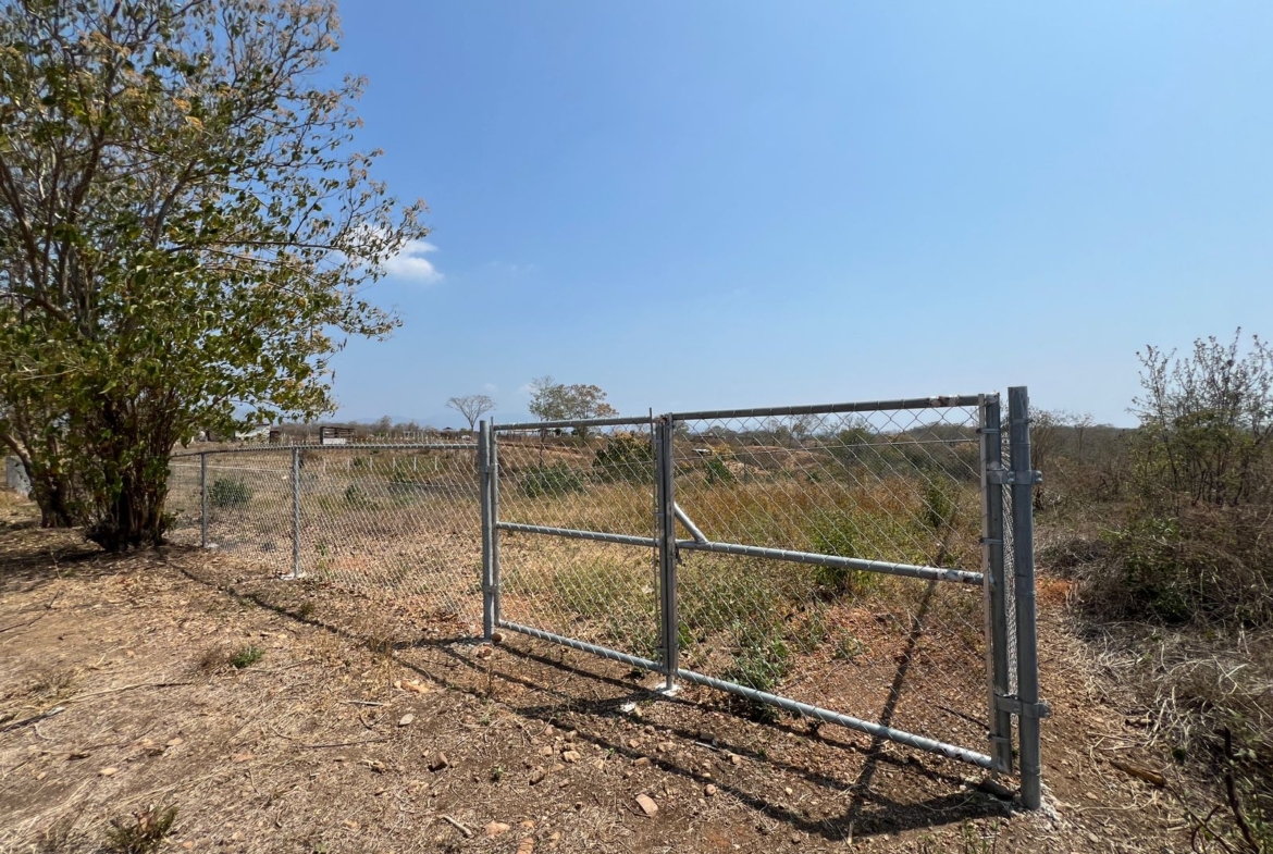 1170